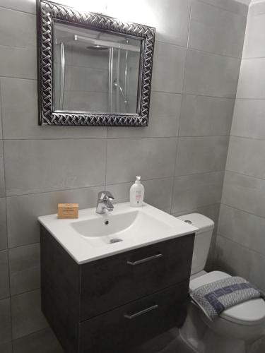 a bathroom with a sink and a mirror and a toilet at Mani Blue Thalassa in Oitylo