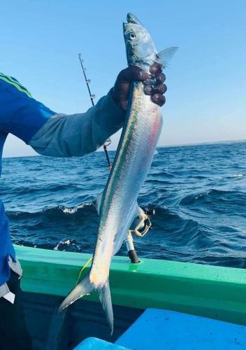 ネゴンボにあるAurora Lagoon Frontの船頭魚