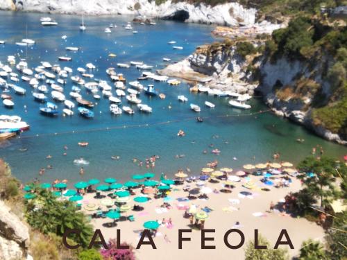 Ponzamania Riccio di mare – Photos 3