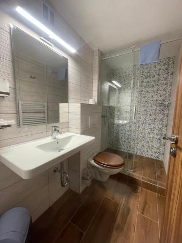 a bathroom with a sink and a toilet and a shower at Hotel Gabreta in Sušice