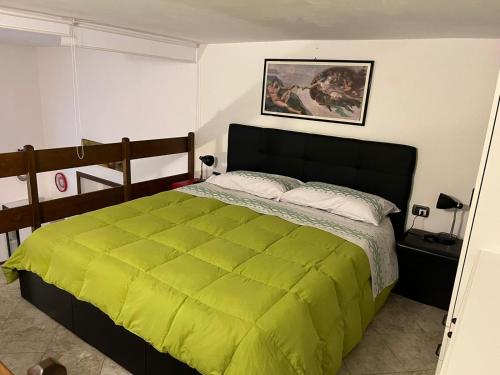 una camera da letto con un grande letto con una coperta verde di Appartamentino sul lago di Bolsena a Gradoli