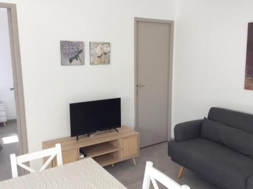 un salon avec un canapé et une télévision sur une table dans l'établissement COQUET APPARTEMENT INDÉPENDANT DANS VILLA ENTRE MER ET MONTAGNE, à Sotta