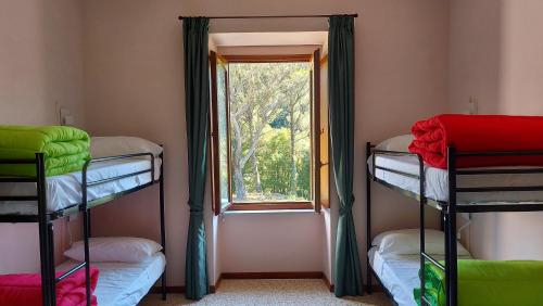 a room with two bunk beds and a window at Ostello Ossigeno in Campodimele