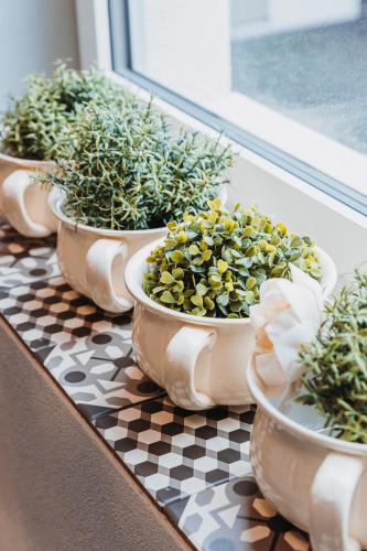 a group of potted plants sitting on a window sill at Emma's B&B - Self Check-in Hotel in Lungern