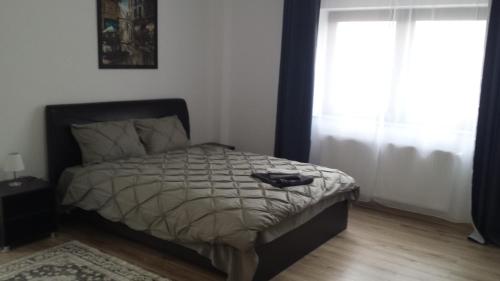 a bedroom with a bed and a window at Apartament Mario in Rădăuţi