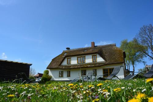 a white house with a thatched roof in a field of flowers at Reethäuser auf Rügen in Middelhagen