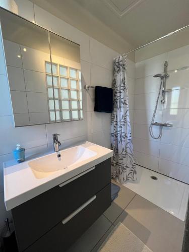 une salle de bain avec un lavabo et une douche dans l'établissement L'esplanade, appartement en centre-ville au calme, à Puisserguier