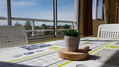 une table avec une plante en pot assise au-dessus dans l'établissement Cap d'Agde Antinea, Plage Rochelongue, Piscine et Parking, au Cap d'Agde