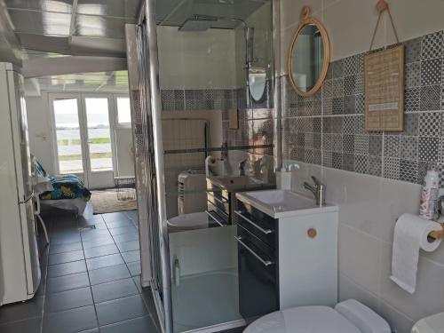 y baño con lavabo y aseo. en Studio indépendant à BOURGNEUF-EN-RETZ vue sur les Marais à 5 mn des plages, en Bourgneuf-en-Retz