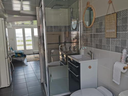 une salle de bain avec un lavabo et des toilettes dans l'établissement Studio indépendant à BOURGNEUF-EN-RETZ vue sur les Marais à 5 mn des plages, à Bourgneuf-en-Retz