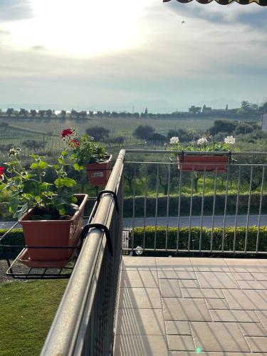 巴爾多利諾的住宿－Ladi’s B&B，两个盆栽植物坐在阳台上的栏杆上
