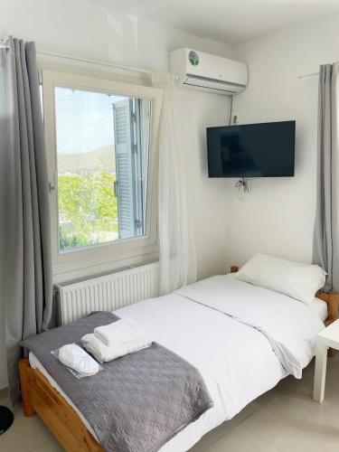 1 dormitorio con 1 cama, ventana y TV en Bright & Cozy Flat - 2 mins to the Town, en Ándros