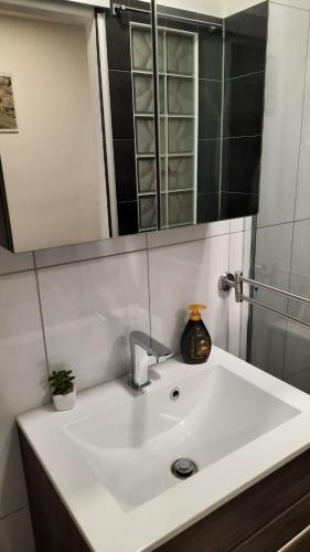 Bilik mandi di Pete Lajos Design Apartman