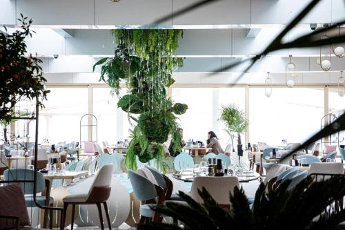 REYNA APART HOTEL في كونستانتا: غرفة طعام بها طاولات وكراسي ونباتات