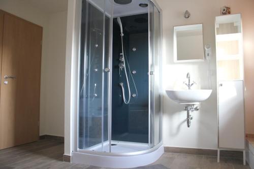 eine Glasdusche im Bad mit Waschbecken in der Unterkunft "Altjessen 57" in Pirna