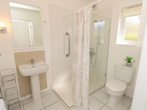 a bathroom with a toilet and a sink and a shower at 8 Munday Cottages in Yarmouth
