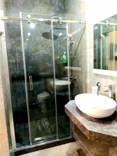 a bathroom with a glass shower and a sink at White House in Bălţi