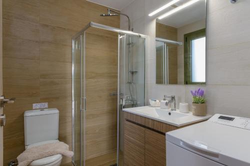 a bathroom with a shower and a toilet and a sink at Comfeto & Mandolato Sweet Houses in Lakithra