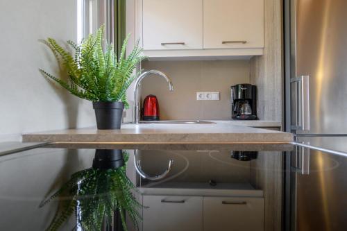 a kitchen counter with a sink and a potted plant at Comfeto & Mandolato Sweet Houses in Lakithra