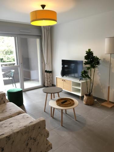 a living room with a couch and a tv at DOMITYS L'ESTAMPE in Romans-sur-Isère