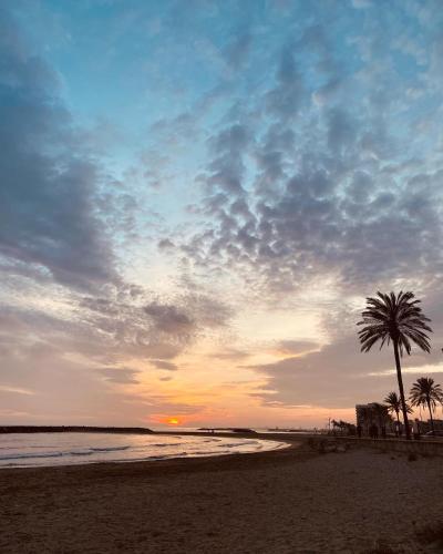 a palm tree on a beach with a sunset at Charming apartment in a duplex with garden & balcony in Cunit