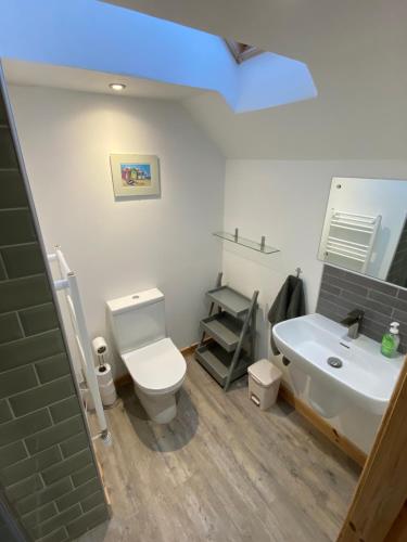 a bathroom with a white toilet and a sink at Islecroft House Bed & Breakfast in Isle of Whithorn