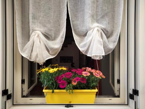 a window with a pot of flowers and curtains at Al Quindici Scilla in Scilla