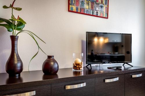 TV a/nebo společenská místnost v ubytování Arianna Apartment