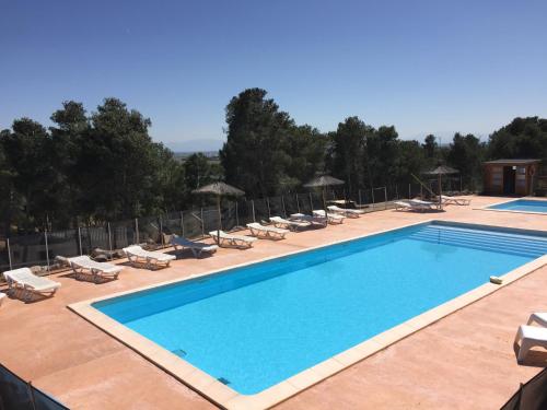 une grande piscine avec chaises longues et parasols dans l'établissement Camping Le Bois De Pins, à Salses-le-Chateau