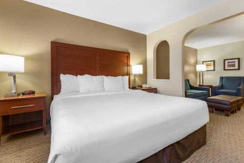 a large white bed in a hotel room at Wingate by Wyndham Los Alamos in Los Alamos