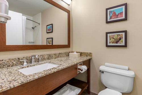 a bathroom with a sink and a toilet and a mirror at Wingate by Wyndham Los Alamos in Los Alamos