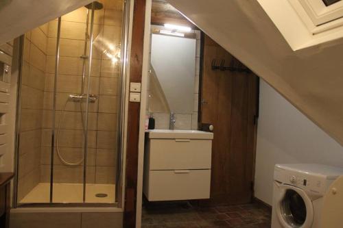 uma casa de banho com um chuveiro, um lavatório e um WC. em Cellier de l'abbaye- gîte Tête à Tête em Vézelay