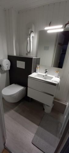 a bathroom with a toilet and a sink at Le Relais De Launay in Ploubazlanec