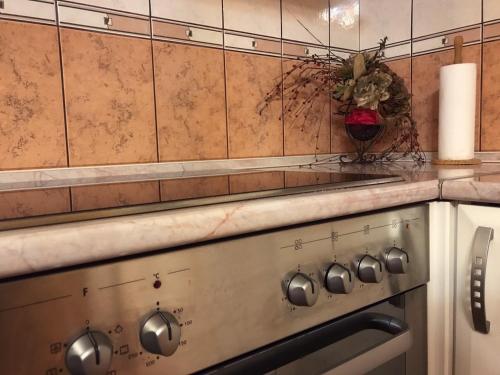 a kitchen stove with a vase on top of it at Siesta in Kikinda