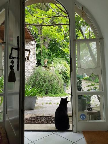 a black cat sitting in front of a door at Le Clos de l'Ambre in Divajeu