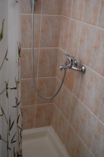 a shower with a hose in a bathroom at Hotel Bucegi Portile Regatului in Paraul Rece