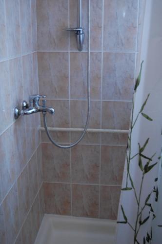 a shower with a hose in a bathroom at Hotel Bucegi Portile Regatului in Paraul Rece