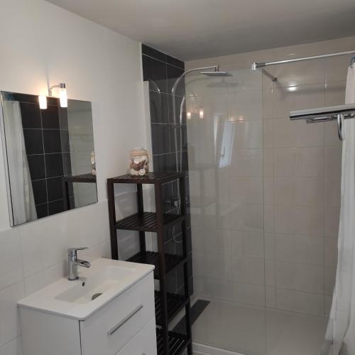 une salle de bain avec une douche, un lavabo et un miroir dans l'établissement Gîte Tromenec, à Landunvez