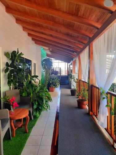 サマラにあるBellaVista Suites By Villas Verdes - Samara Beachのギャラリーの写真
