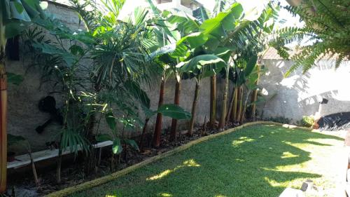 Κήπος έξω από το Pousada Max House vida simples de Sfs sc