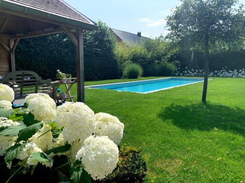 a garden with white flowers and a swimming pool at B&B 't klein GELUK in Ham