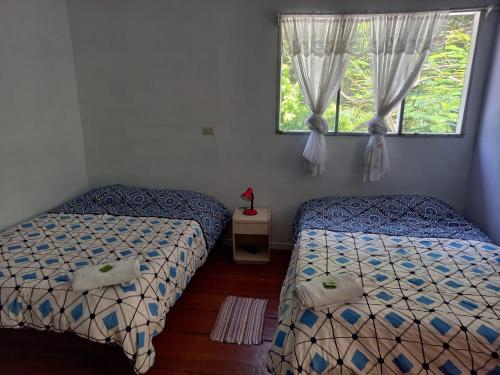Легло или легла в стая в Donde Familia Manito