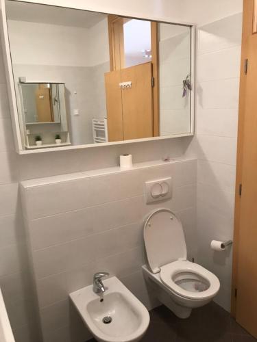 ein Badezimmer mit Toilette, Waschbecken und Spiegel in der Unterkunft Apartment Angela with private garage slot in Pula
