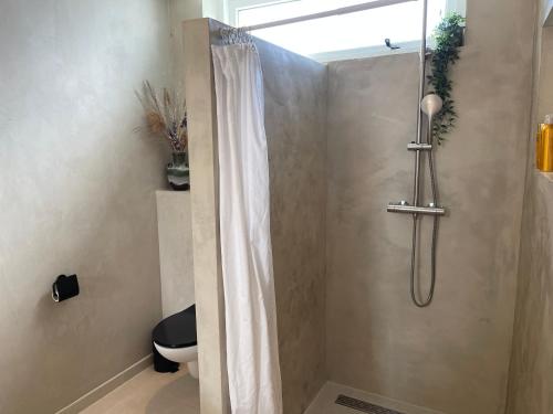 een douche met een douchegordijn in de badkamer bij Casa TX21 in Den Burg