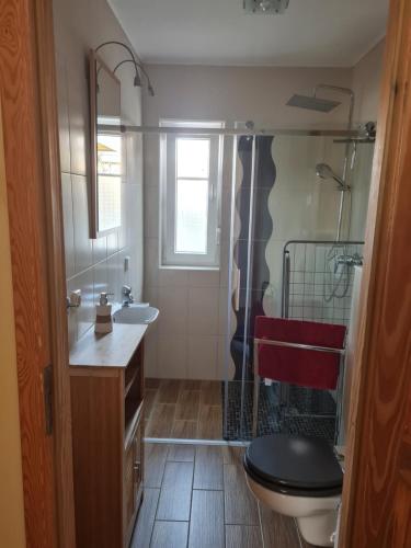 a bathroom with a toilet and a sink and a shower at Ferienwohnung am Nordstrand in Alt Schwerin