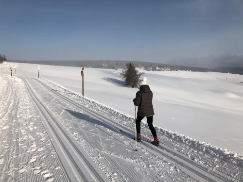 a person is cross country skiing in the snow at Chalet & Apart Fichtelberger Blick in Kurort Oberwiesenthal
