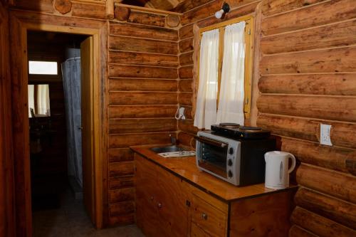 eine Küche mit einer Mikrowelle auf einer Theke in einem Blockhaus in der Unterkunft La Escondida in Tunuyán