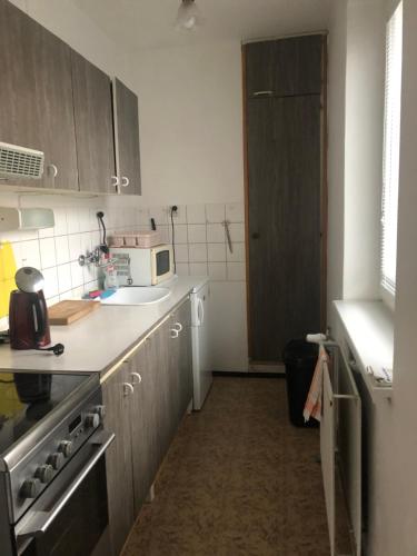 a kitchen with a sink and a microwave at Apartmán Na Horách in Zlatá Olešnice