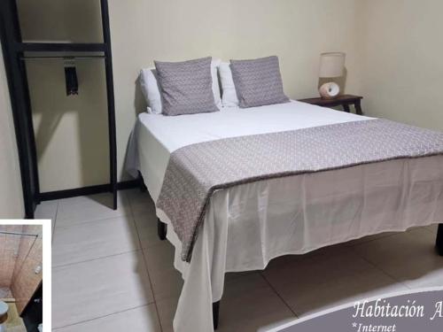 a bedroom with a large bed with pillows on it at Casa Colima in Isla de Tibás