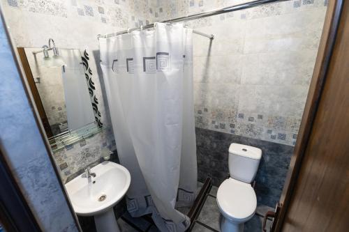 a bathroom with a toilet sink and a shower curtain at Rafting House in Odzun